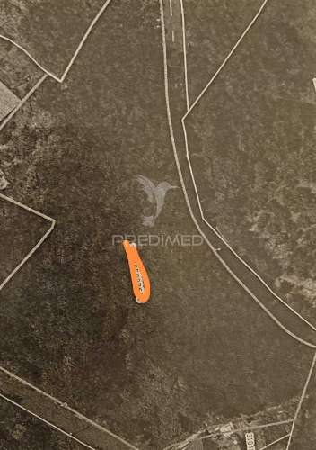 Terreno com 5.970 m² com potencial construtivo | ribeira de machico