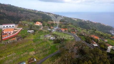 Terreno urbano com 920 m2 para construção no caniço