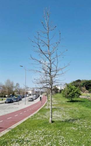 Apartamento t3 em ramalde, porto