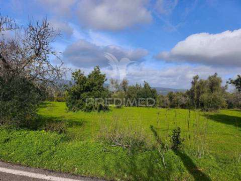 Albufeira- terreno para construção com 6.440 m² com potencial para 12 moradias
