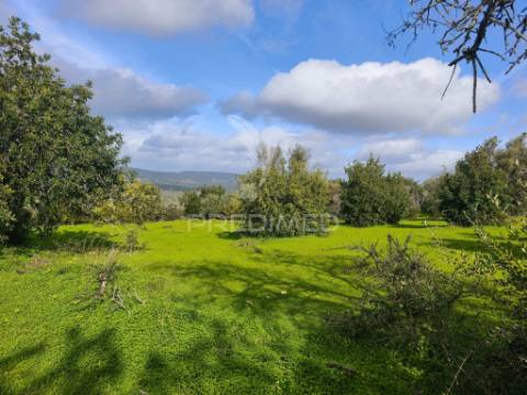 Albufeira- terreno para construção com 6.440 m² com potencial para 12 moradias