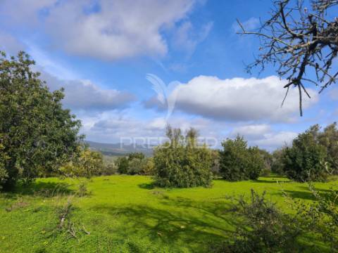 Albufeira- terreno para construção com 6.440 m² com potencial para 12 moradias