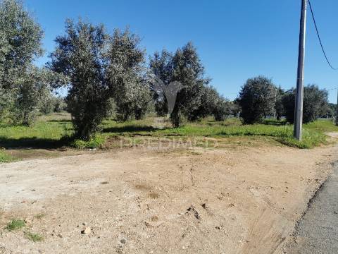 Lote terreno