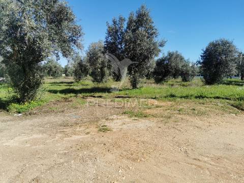 Lote terreno