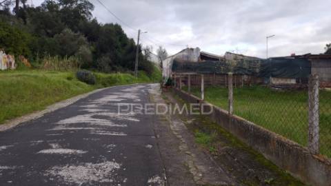 Terreno urbano 782 m2 - pinheiro grande - chamusca