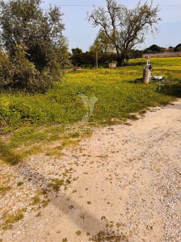 Moradia de campo na quinta do anjo – terreno com 4.520 m²