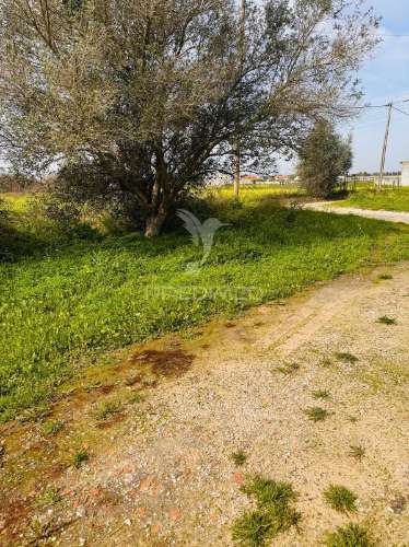 Moradia de campo na quinta do anjo – terreno com 4.520 m²