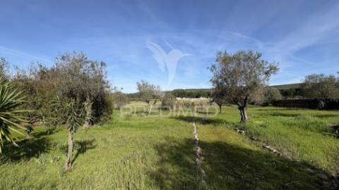 Propriedade com 12.5 ha, moradia t4 e vários edifícios em montalvo