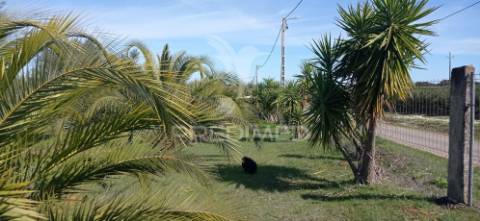 Monte alentejano com 13.250 m2, casa branca, sousel