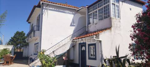 Quinta de 16660 m2 moradias t3 e t2 e 1 pavilhão 487 m2
