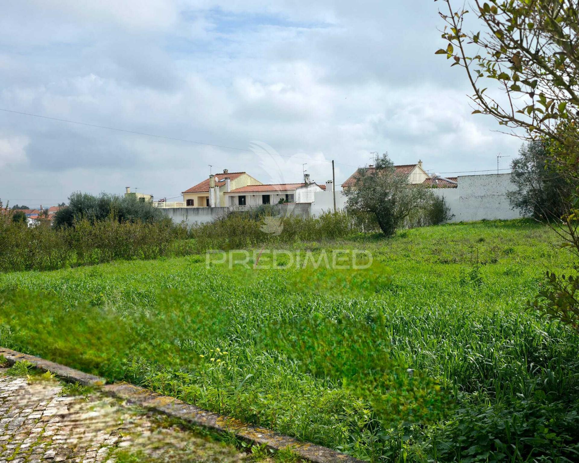 Lote de terreno urbano com 710m²