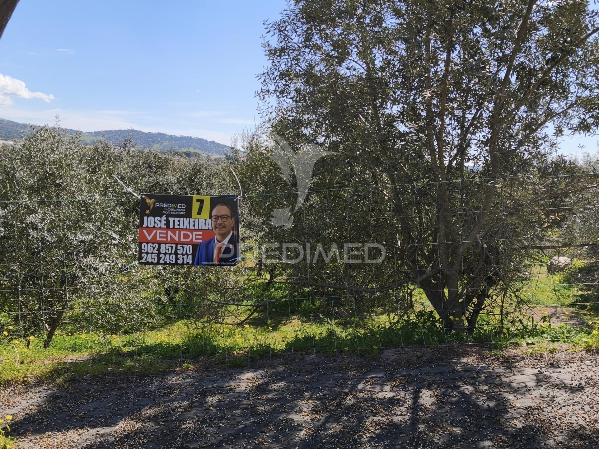Lote urbano para construção