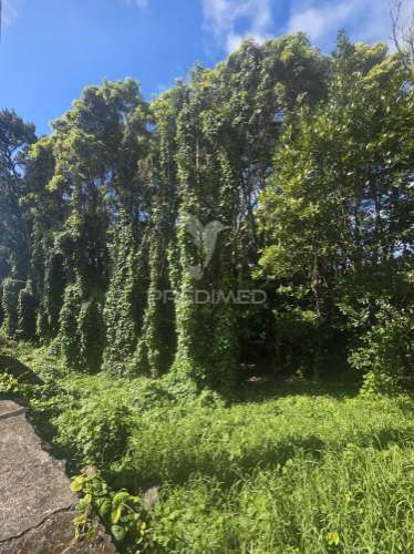 Terreno em s. pedro