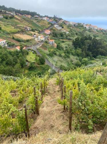 Moradia e palheiro em pedra com 2.770m2 de terreno no arco da calheta