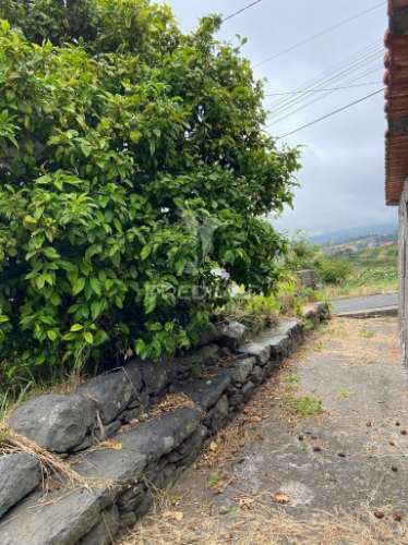 Moradia e palheiro em pedra com 2.770m2 de terreno no arco da calheta