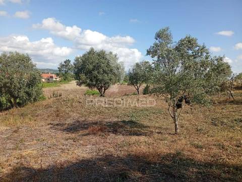 Terreno urbano com 1.560 m2 em alpiarça, santarém.