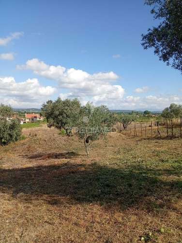 Terreno urbano com 1.560 m2 em alpiarça, santarém.
