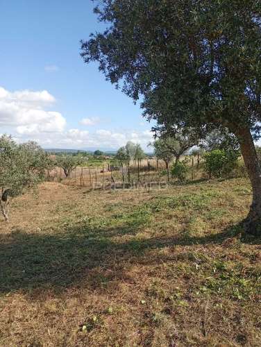 Terreno urbano com 1.560 m2 em alpiarça, santarém.