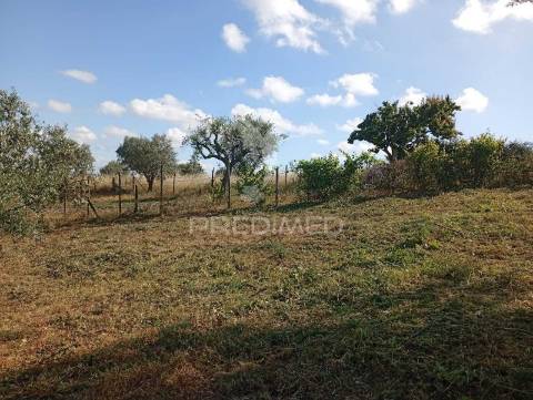 Terreno urbano com 1.560 m2 em alpiarça, santarém.