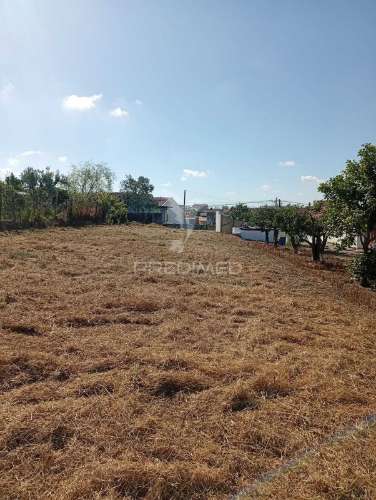 Terreno urbano com 1.560 m2 em alpiarça, santarém.