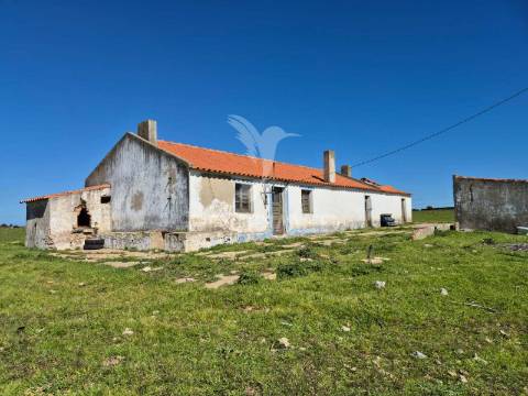Terreno com 5,3 hc e habitação para reabilitar | vista mar | porto covo