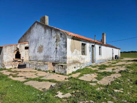 Terreno com 5,3 hc e habitação para reabilitar | vista mar | porto covo