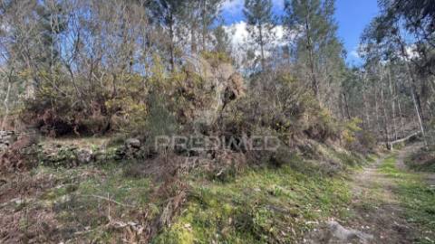 Terreno florestal com 9.938 m² | sá, arcos de valdevez