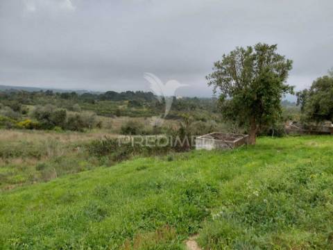 Monte alentejano com 5,6 hc,são francisco serra, santiago do cacém.