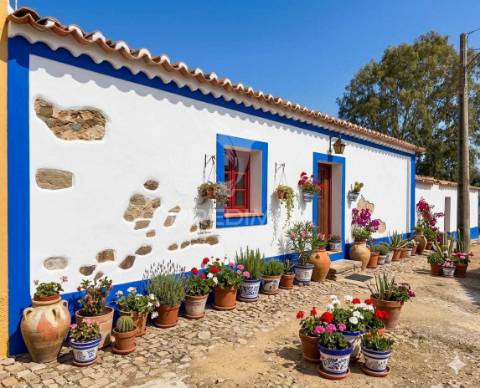 Oportunidade de reabilitação – casa com terreno em mesquita, alentejo