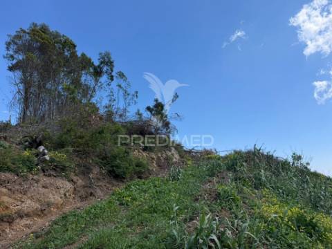 Terreno urbanizável em são joão ribeira brava