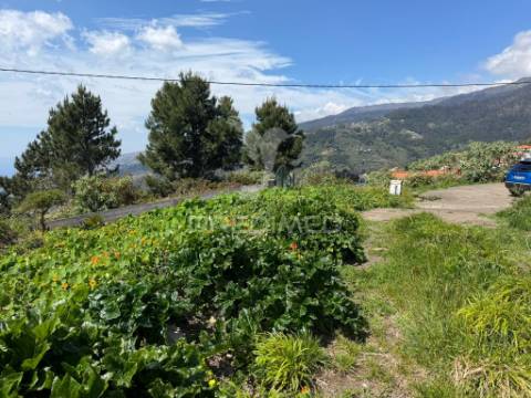 Terreno urbanizável em são joão ribeira brava