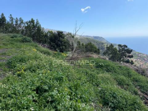 Terreno urbanizável em são joão ribeira brava