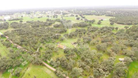 Monte alentejano com 12 hectares junto á barragem de fonte de cerne