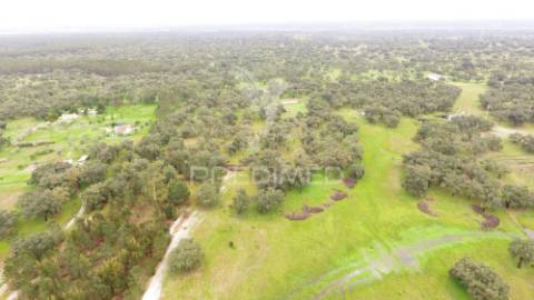 Monte alentejano com 12 hectares junto á barragem de fonte de cerne