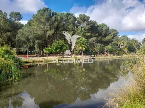 Mobil home t2 em camping pinhal novo.