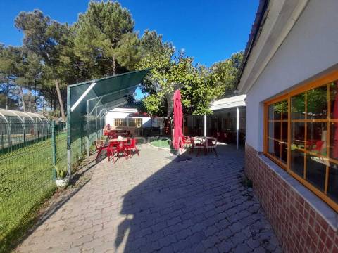 Mobil home t2 em camping pinhal novo.