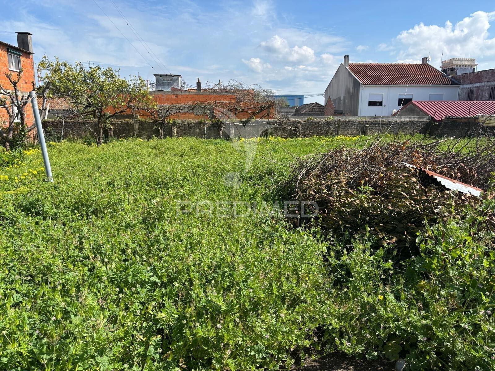 Terreno misto com possibilidade de construção