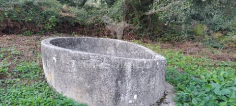Terreno lousa
