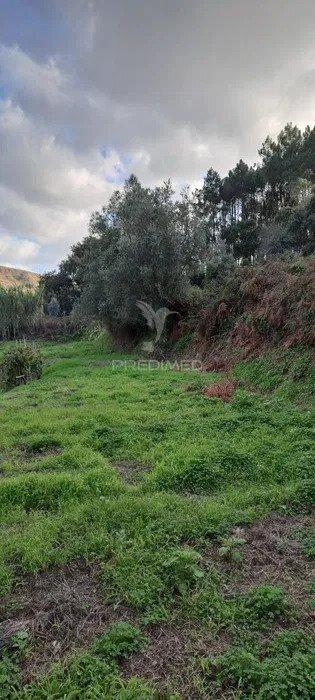 Terreno lousa