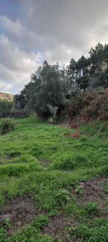 Terreno lousa