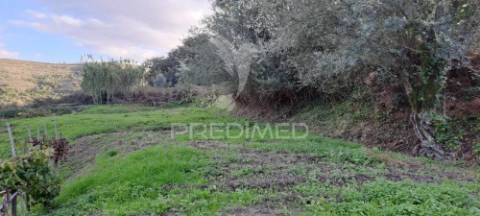 Terreno lousa