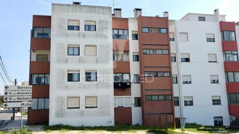 T2 em alhos vedros com arrecadação