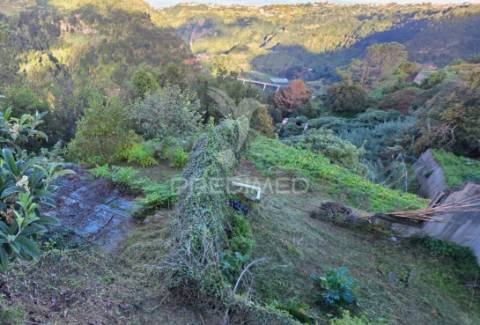 Terreno com vista atlântica e montanha – ilha, santana | madeira