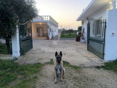 Moradia isolada em tunes, algarve