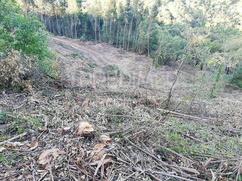 Lousa. lote terreno rústico com 8.760 m2