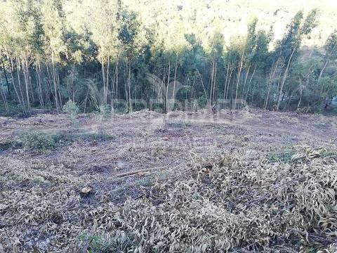 Lousa. lote terreno rústico com 8.760 m2