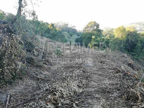 Lousa. lote terreno rústico com 16.320 m2