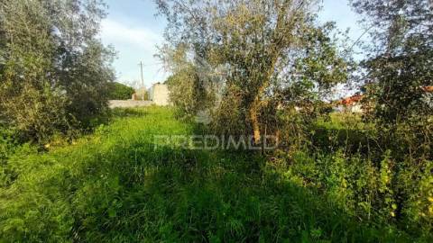 Terreno situado em tojal, porto de mós