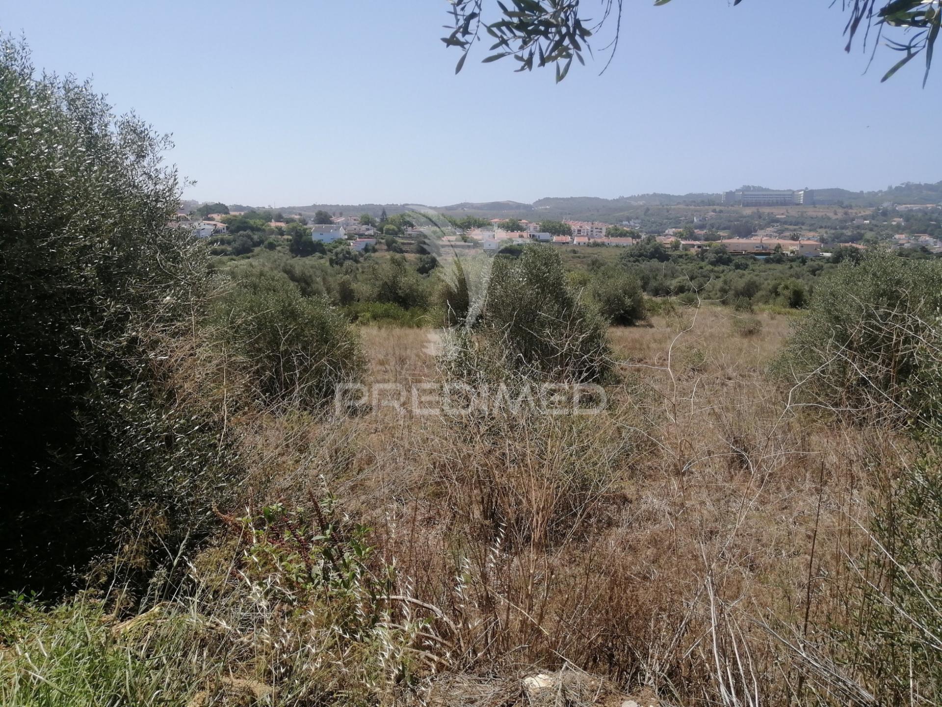 Terreno agrícola em sintra