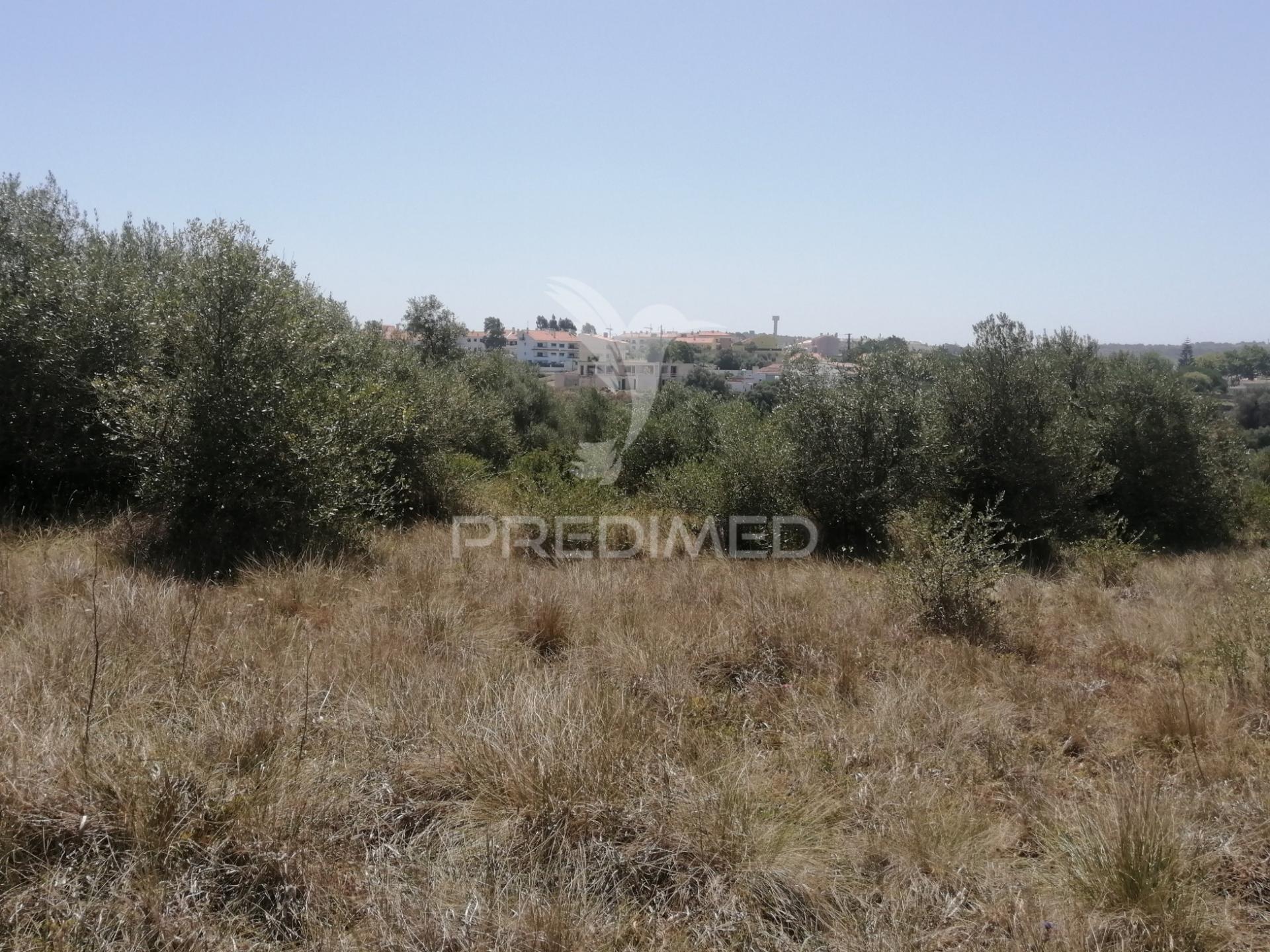 Terreno agrícola em sintra